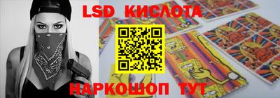 шишки Ставрополь