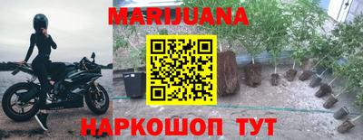 шишки Ставрополь