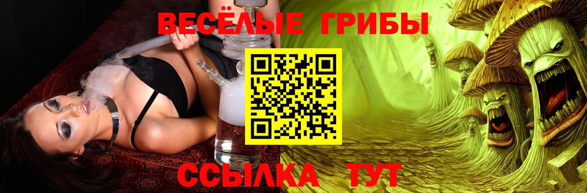Галлюциногенные грибы прущие грибы  Вход с VPN  Омск  Галлюциногенные грибы Magic Shrooms 