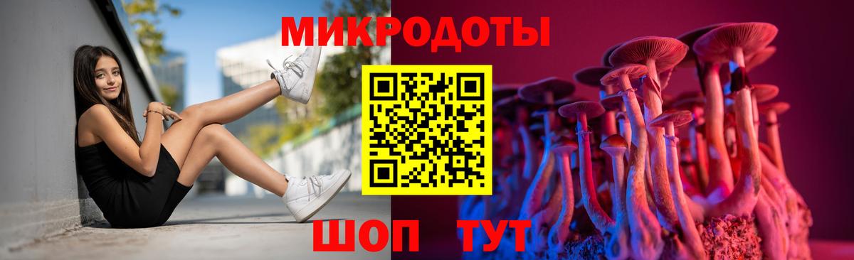 Псилоцибиновые грибы Cubensis Омск